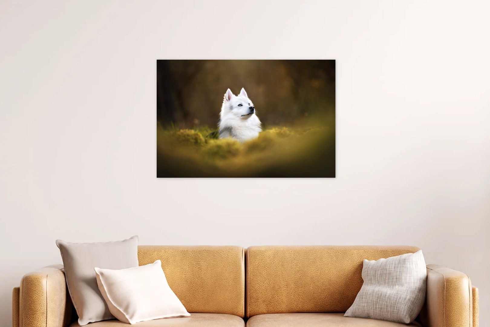 Tableau photo de 60x90 cm au dessus d'un canapé