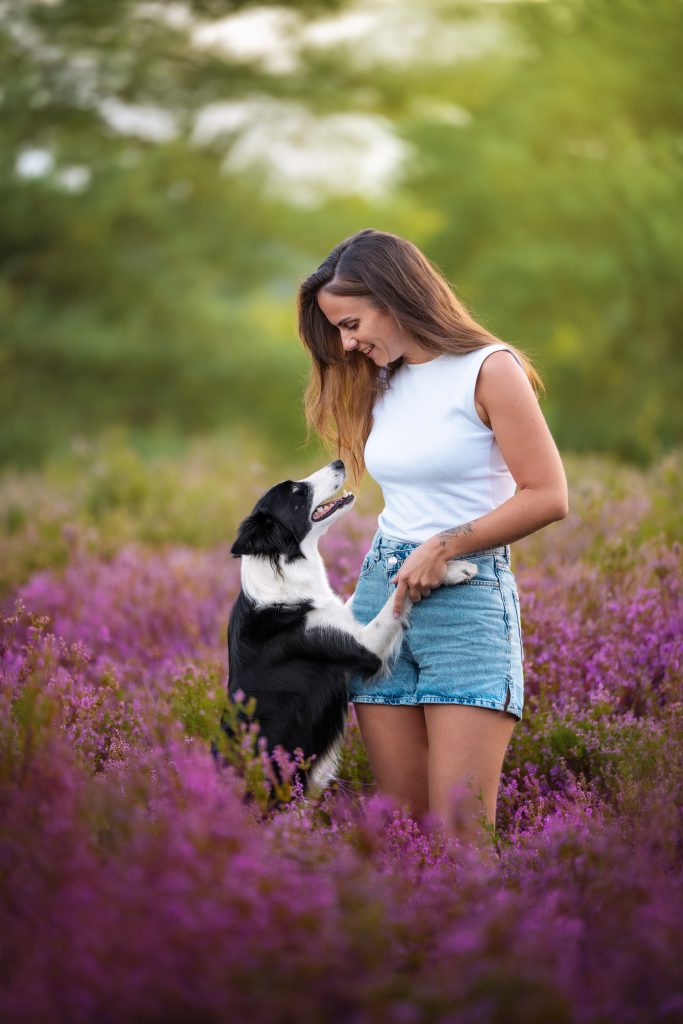 Regard complice entre un border collie et son humaine dans les bruyères