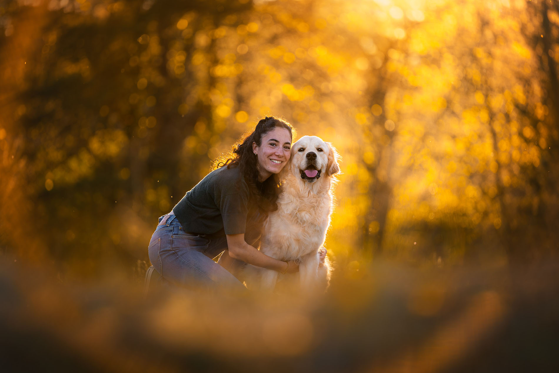 Complicité entre un golden retriever et son humaine en forêt de Fontainebleau au coucher du soleil